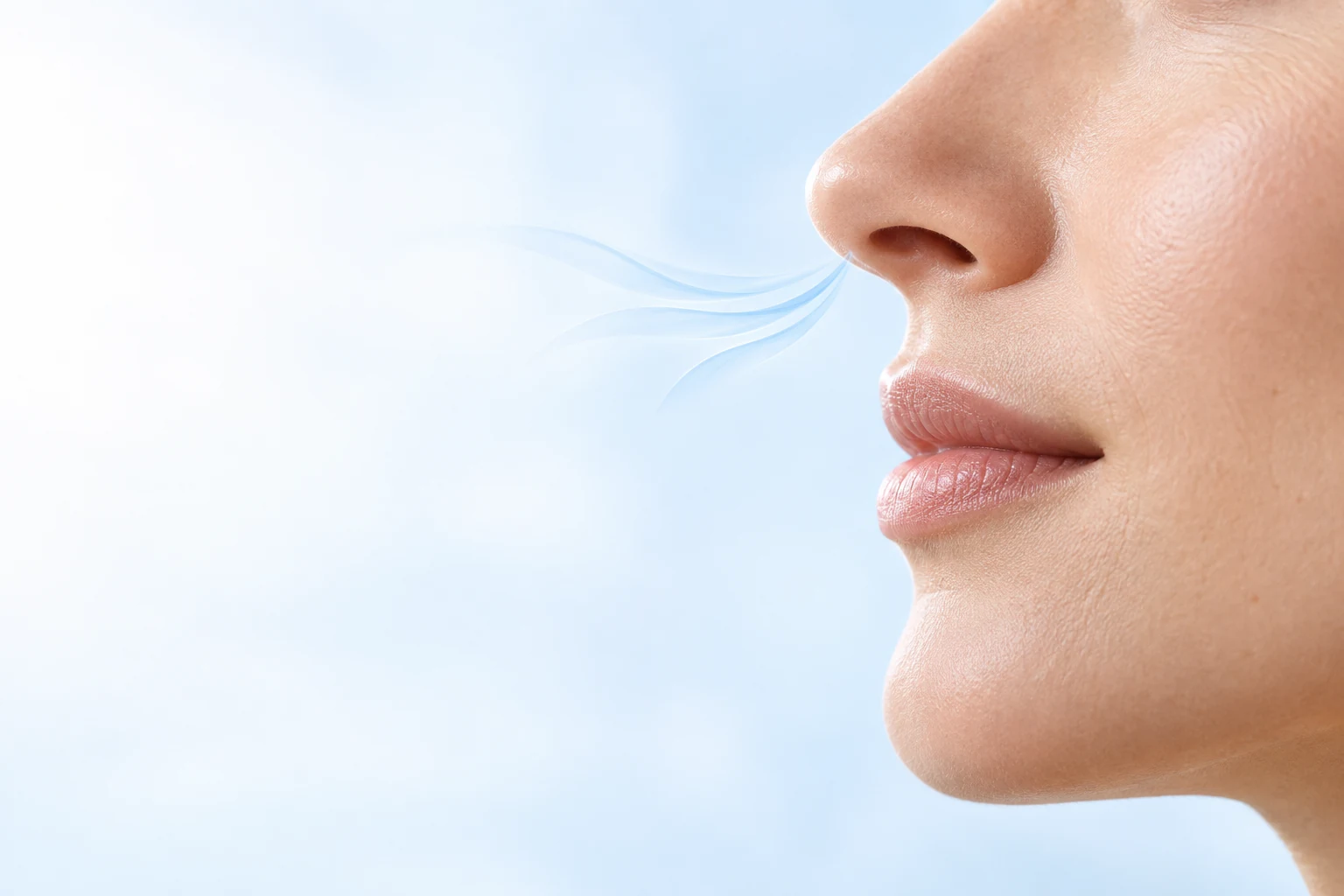 Nose profile with a soft illustrative airflow line
